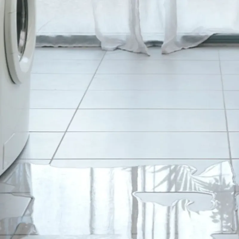 Appliance Leak Cleanup in Monroe County, OH