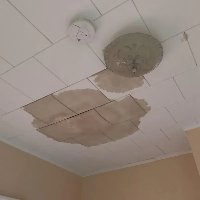 Ceiling Water Damage Repair in Monroe County, OH