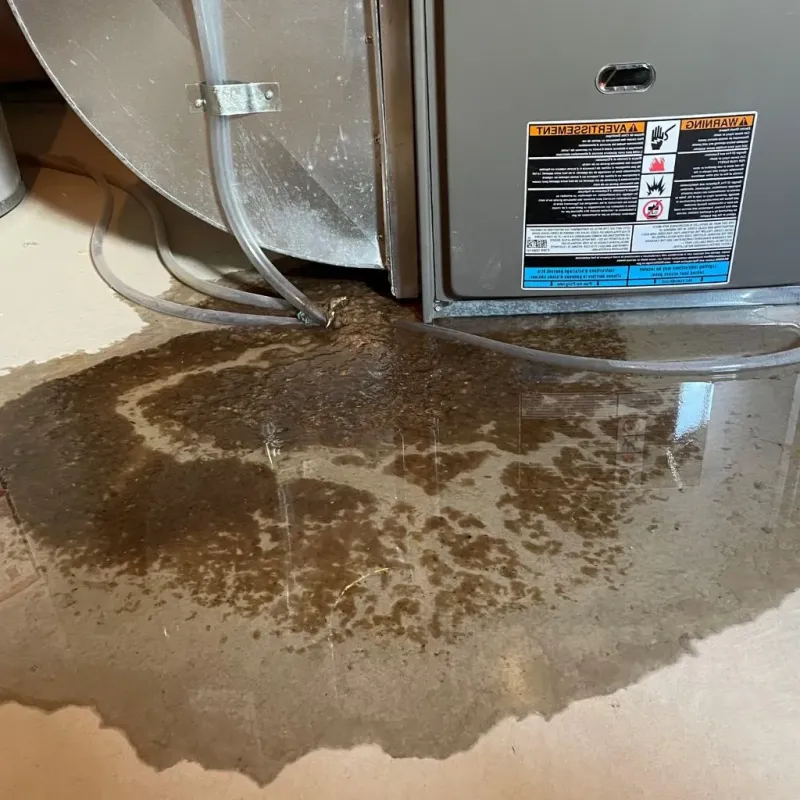 Pipe Burst and Leak Restoration in Monroe County, OH