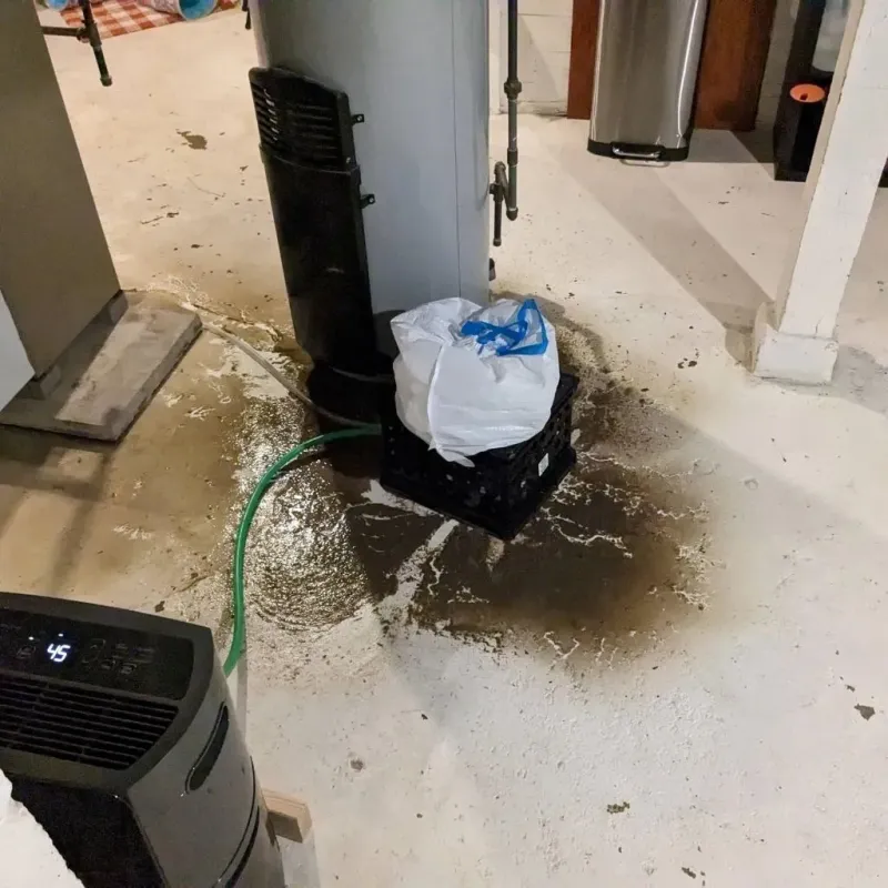 Sewage Backup Cleanup Service in Monroe County, OH